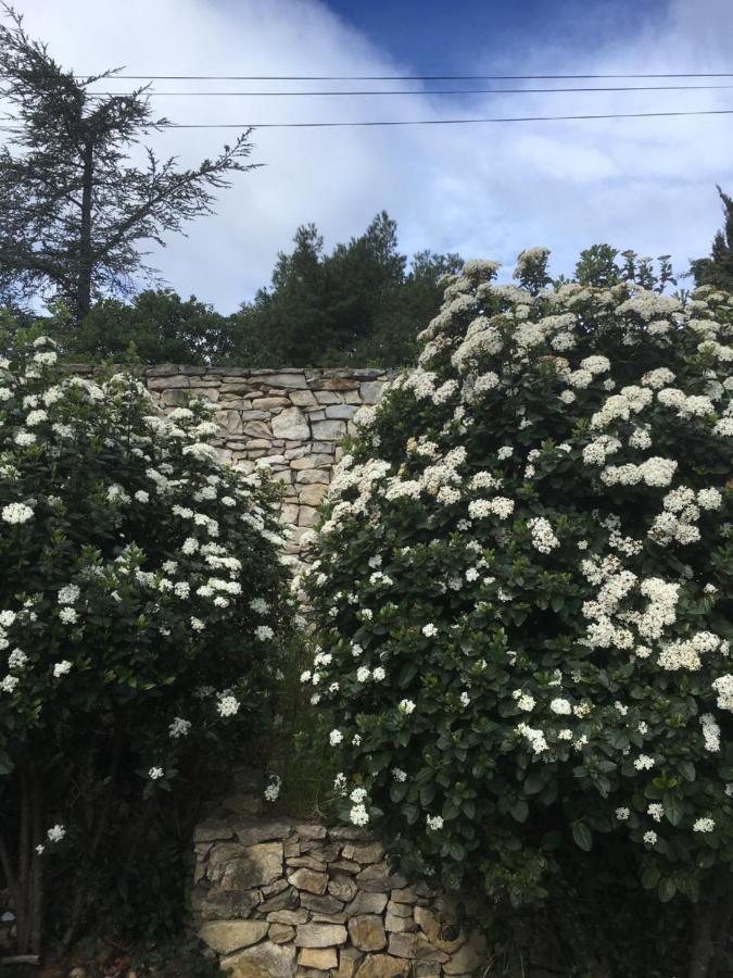 La Chambre Haute Nîmes Zewnętrze zdjęcie